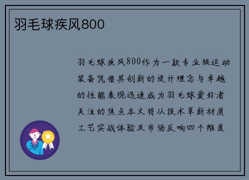 羽毛球疾风800